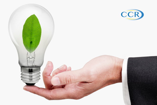 Why Biodegradable Printed Coffee Cups Are a Smart Choice for Your Business